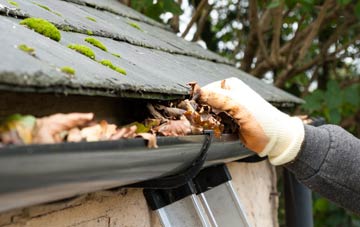 gutter cleaning Wester Essendy, Perth And Kinross